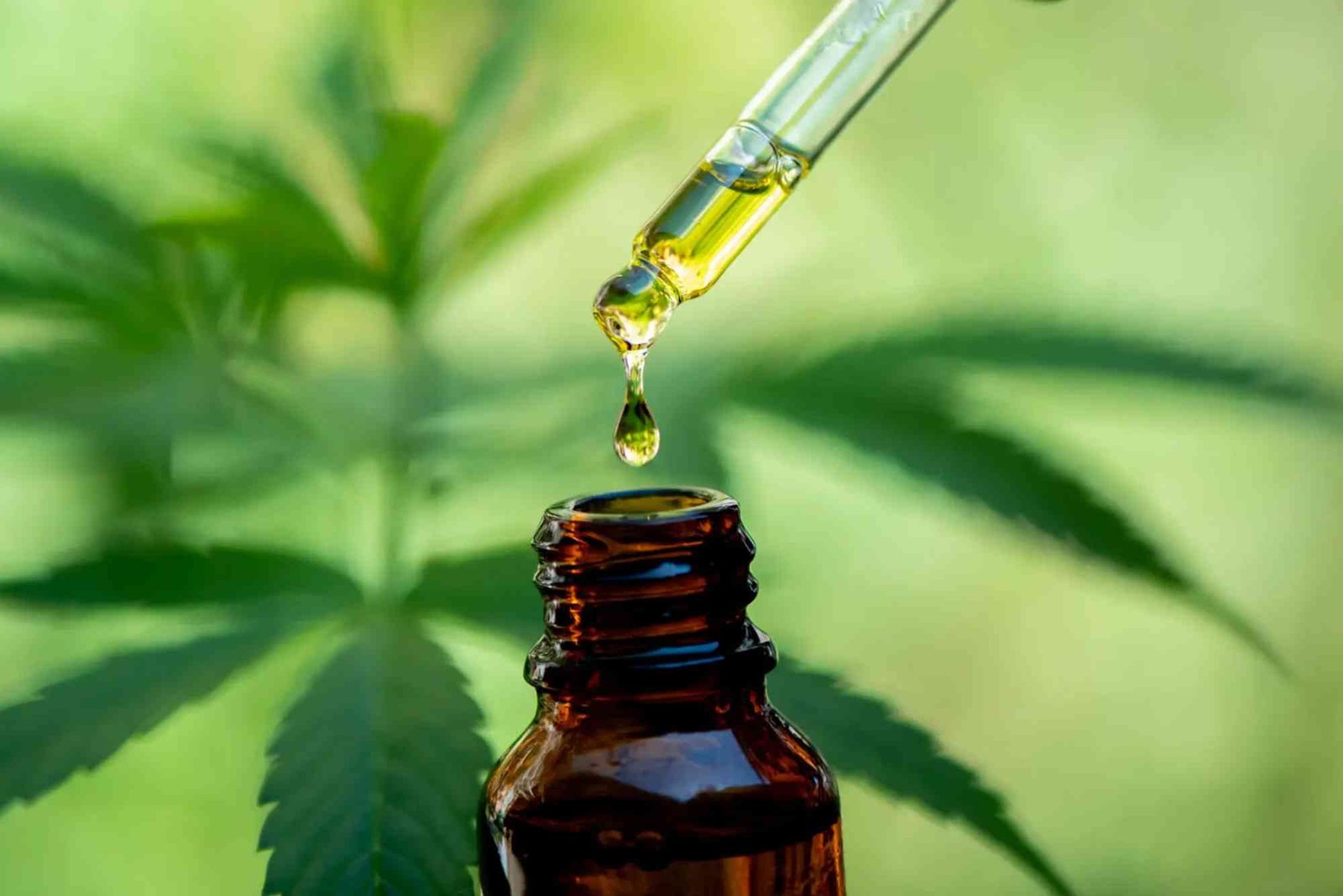 CBD Benefits UAE