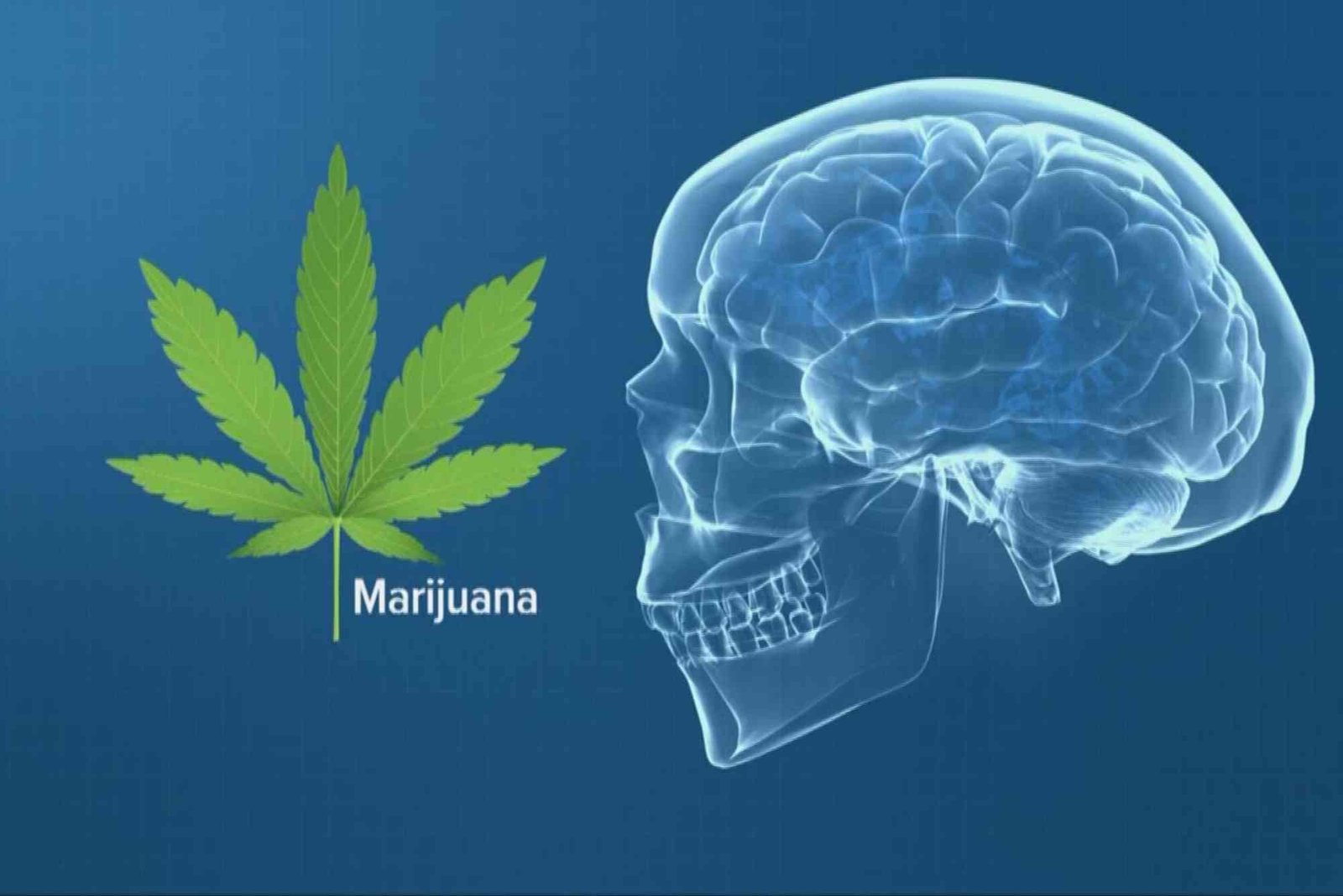 CBD Brain Effect UAE