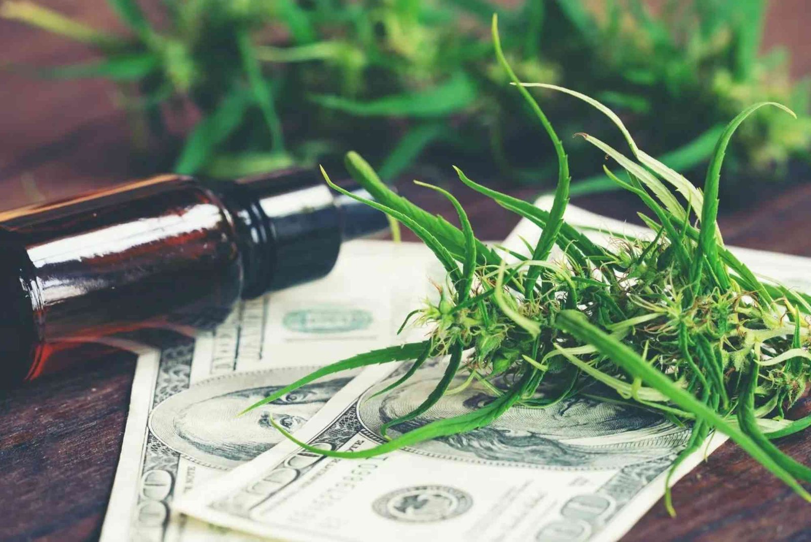 CBD Buying Guide UAE