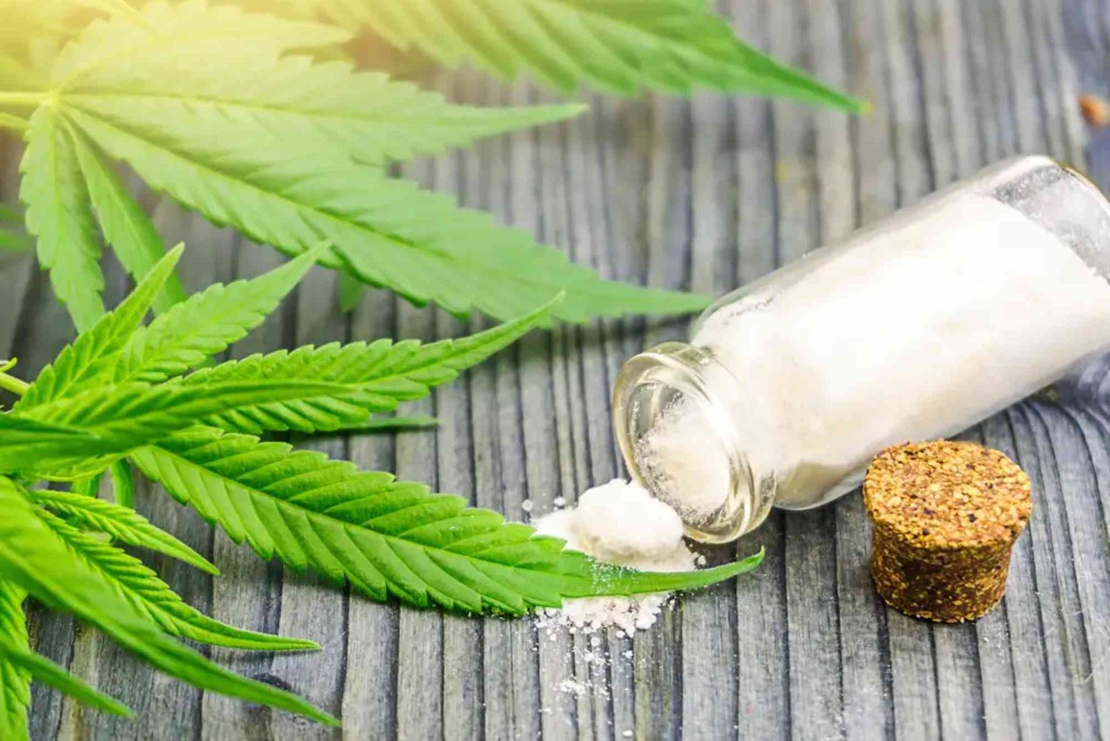 CBD VS THC Legality UAE
