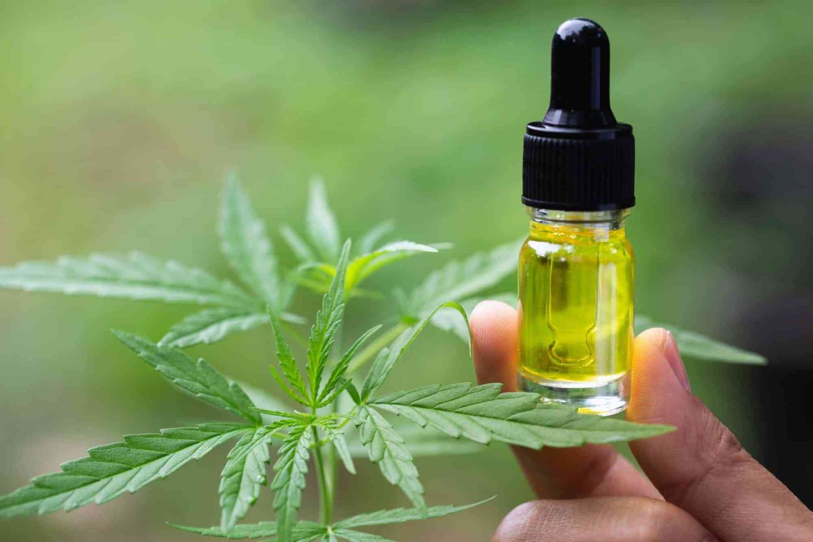 What Is CBD UAE