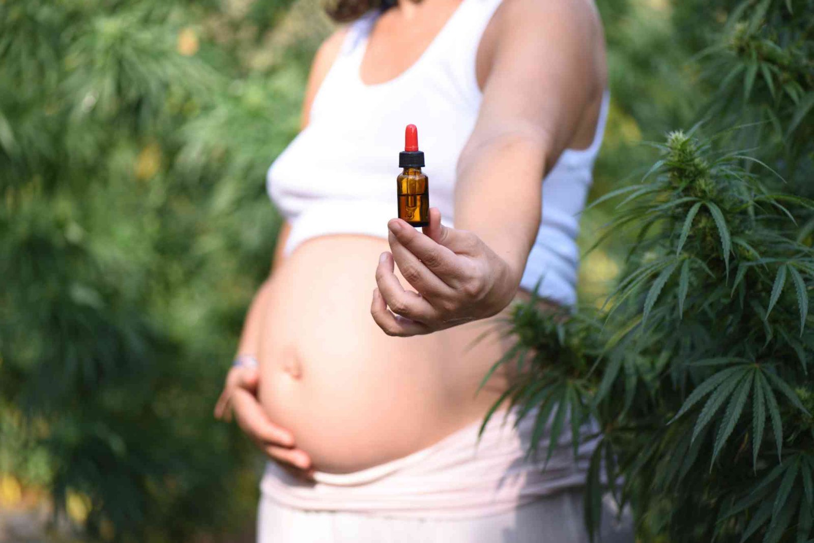 CBD During Pregnancy UAE