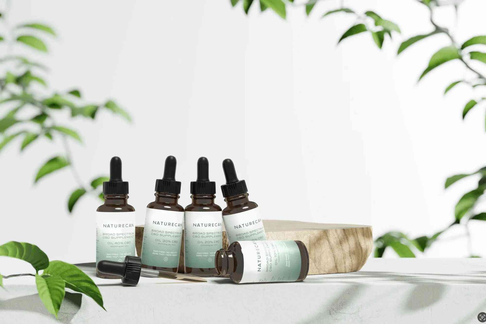 CBD Recap Blog UAE