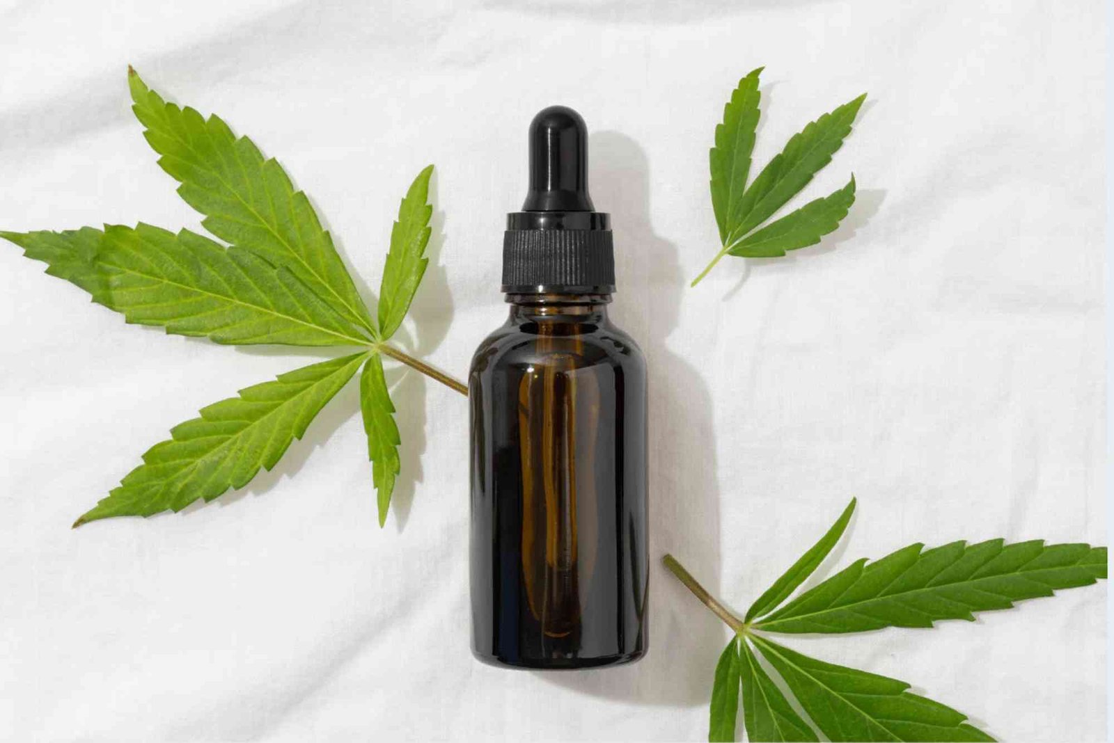 CBD Timing Guide UAE